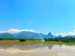 Satwa Dilindungi di Sanggabuana Terjerat Jaring Pemburu