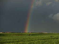 Langit Qamishli Berwarna! Pelangi Muncul, Warga Ramai-ramai Foto