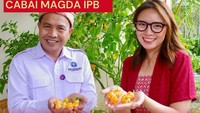 Mgdalenaf membagikan kabar bahagia itu di Instagram. Ia membuat konten saat nama dirinya dijadikan nama cabai terpedas hasil temuan M Syukur, Guru Besar IPB. (Foto: dok Instagram ronamerah.idn)