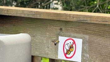 Seekor lebah tertangkap kamera sedang terbang tepat di depan papan tanda larangan lebah, memberikan kesan bahwa ia dengan tegas menolak diskriminasi terhadap spesiesnya di area tersebut. randomguy471471 via BoredPanda