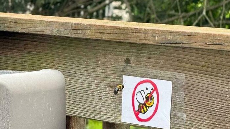 Beberapa hewan tampaknya memang tidak peduli dengan papan peringatan yang dibuat manusia. Entah karena tidak bisa baca atau memang sengaja ingin pamer keberanian.