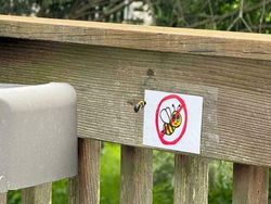 6 Momen Kocak Saat Binatang Terang-terangan Melanggar Aturan