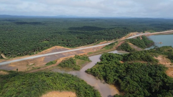Penampakan salah satu lahan sawit dan tambang yang berdampingan yang menjadi area HCV untuk satwa