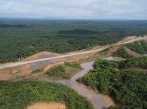 Pentingnya HCV di Perkebunan Sawit