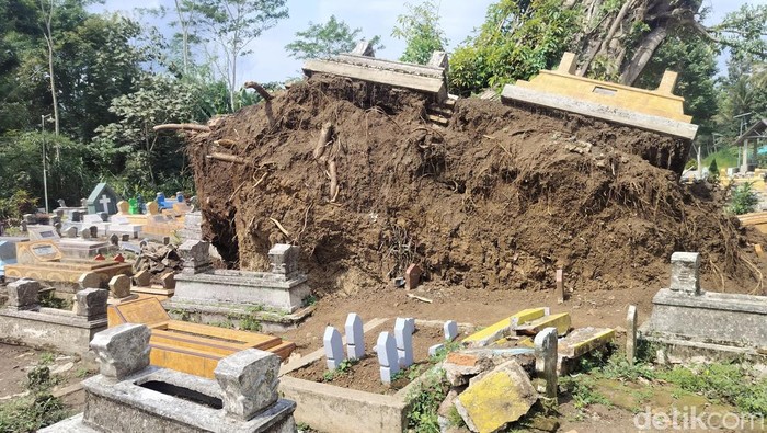 Pohon beringin raksasa di tengah pemakaman umum di Malang tumbang mengangkat sejumlah makam dan jenazah.