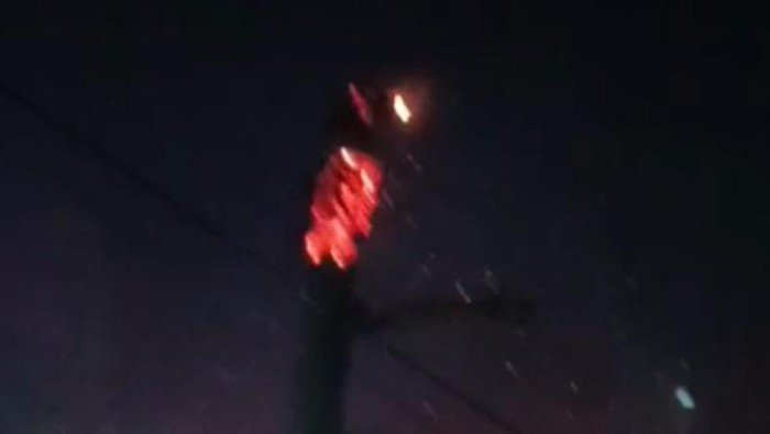 Pohon randu terbakar usai disambar petir di Pekalongan.