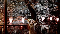 Seorang perempuan dan laki-laki berswafoto di depan bunga sakura yang bermekaran di Tokyo, Jepang, Senin (30/3/2026). Momen ini dimanfaatkan pengunjung untuk mengabadikan keindahan bunga yang hanya mekar singkat.