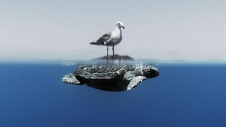 Karya Jawara Kontes Foto Laut Dunia, Bikin Takjub hingga Merinding