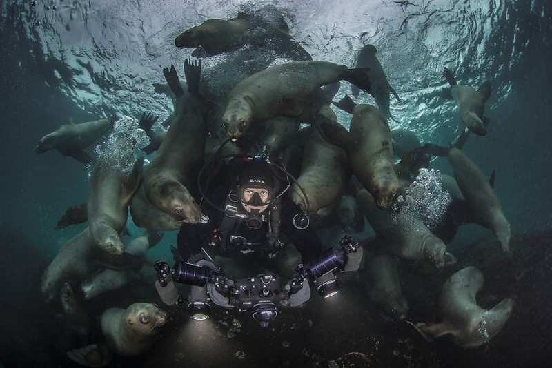 The Ocean Photographer Of The Year