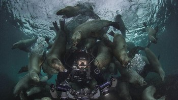 Finalis Fotografer Petualangan Terbaik Tahun 2021 - Steve Woods. Lokasi: Kanada Foto: The Ocean Photographer Of The Year