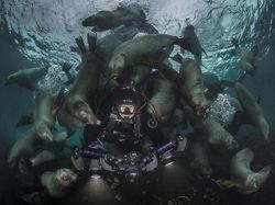 Karya Jawara Kontes Foto Laut Dunia, Bikin Takjub hingga Merinding