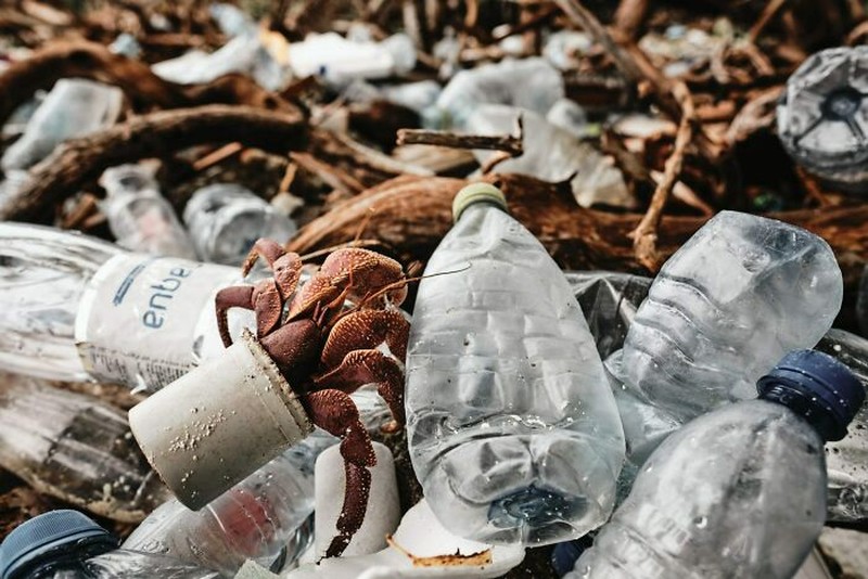 The Ocean Photographer Of The Year