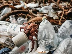 Karya Jawara Kontes Foto Laut Dunia, Bikin Takjub hingga Merinding