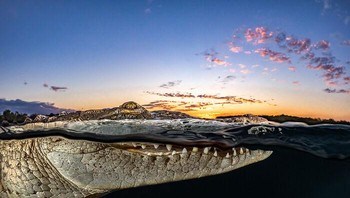 Finalis Fotografer Petualangan Terbaik Tahun 2021 - Tanya Houppermans. Lokasi: Kuba Foto: The Ocean Photographer Of The Year