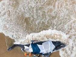 Karya Jawara Kontes Foto Laut Dunia, Bikin Takjub hingga Merinding