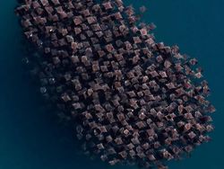 Karya Jawara Kontes Foto Laut Dunia, Bikin Takjub hingga Merinding