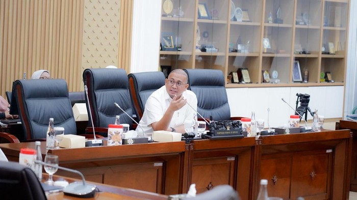 Wakil Ketua Komisi VI DPR RI, Andre Rosiade