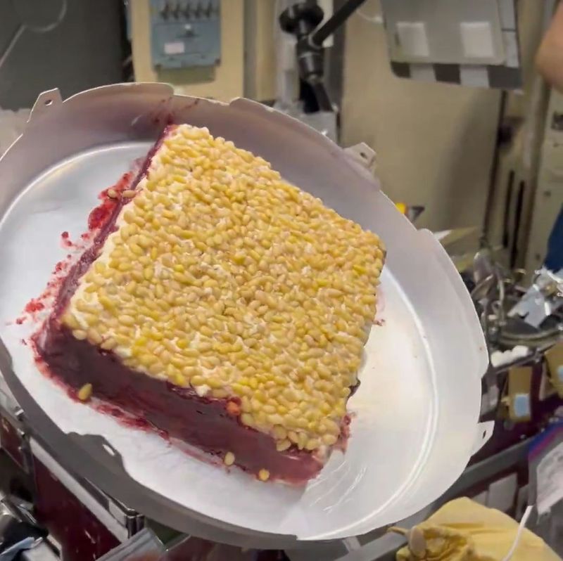 Astronot Ini Bagikan Momen Bikin Kue di Luar Angkasa