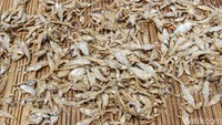 Sejumlah jenis ikan asin mengalami kenaikan harga hingga puluhan ribu rupiah per kilogram.  