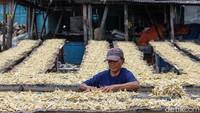 Harga ikan asin naik akibat berkurangnya pasokan ikan segar setelah Lebaran.   