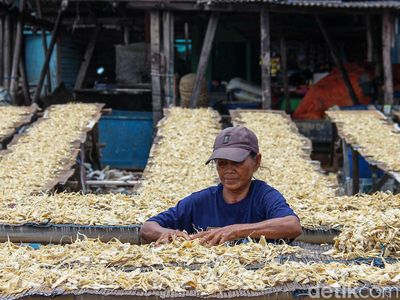 Harga Ikan Asin Melonjak Imbas Pasokan Menyusut