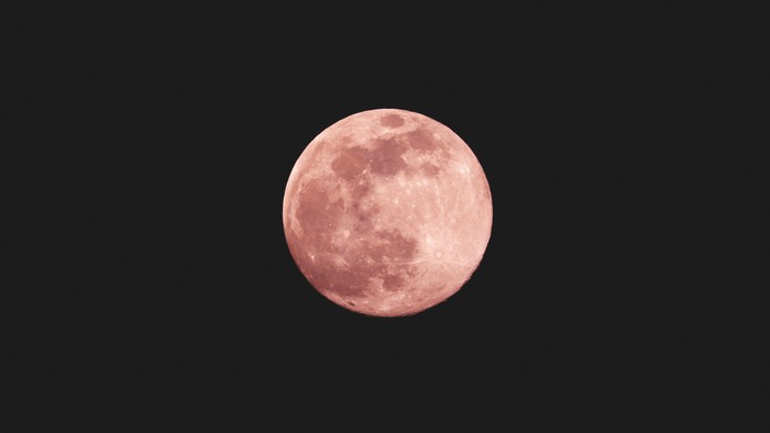 Ilustrasi Pink Moon
