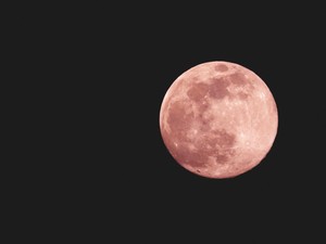 Geger Roket SpaceX Diprediksi Tabrak Bulan pada 5 Agustus 2026, Ini Kata Ilmuwan