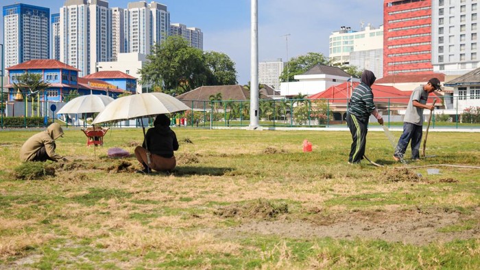 Kondisi rumput Lapangan Kebun Bunga Medan.