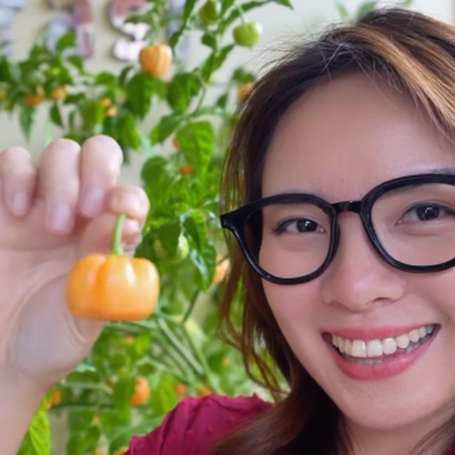 Keseruan Mgdalenaf Ajak Teman-teman Food Vlogger Cicip Cabai Magda IPB