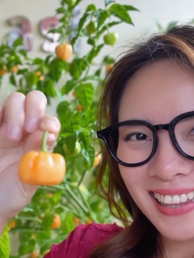 Keseruan Mgdalenaf Ajak Teman-teman Food Vlogger Cicip Cabai Magda IPB