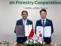 Menhut RI dan Menhut Korsel Perkuat Kerja Sama Penanganan Kebakaran Hutan