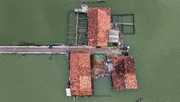 Pembangunan Giant Sea Wall sendiri menjadi salah satu proyek strategis nasional yang diharapkan mampu mengurangi risiko banjir rob sekaligus menjaga keberlanjutan kawasan pesisir di Pulau Jawa. ANTARA FOTO/Harviyan Perdana Putra