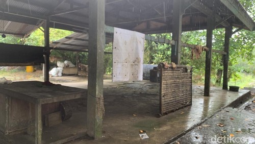 Penampakan UPT Rumah Potong Hewan (RPH) Pemkab Lombok Barat yang tidak pernah mendapat perbaikan selama hampir 20 tahun, Selasa (31/3/2026). (Foto M. Zahiruddin/detikBali)