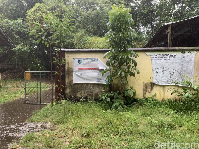 Penampakan UPT Rumah Potong Hewan (RPH) Pemkab Lombok Barat yang tidak pernah mendapat perbaikan selama hampir 20 tahun, Selasa (31/3/2026). (Foto M. Zahiruddin/detikBali)