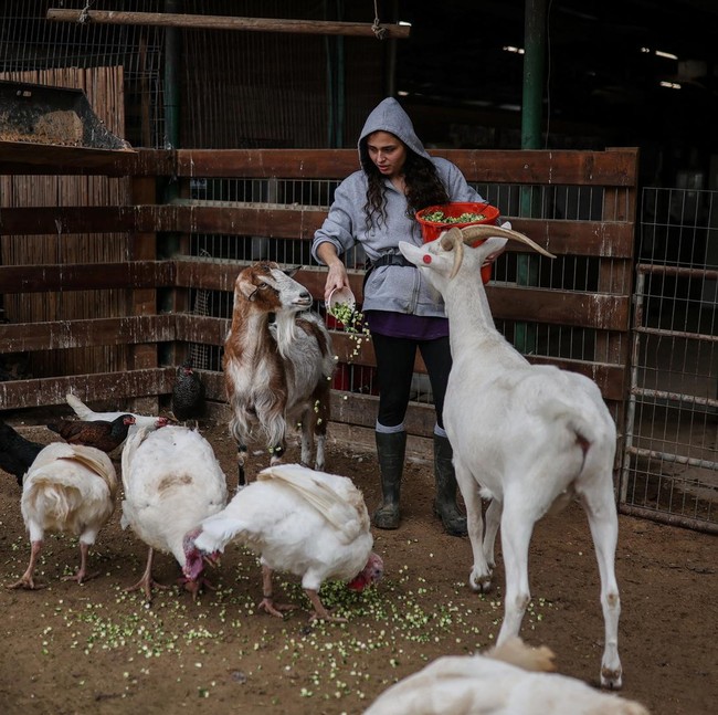 Suaka Hewan Bertahan di Tengah Perang