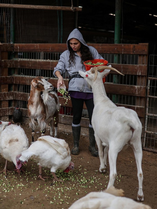 Suaka Hewan Bertahan di Tengah Perang