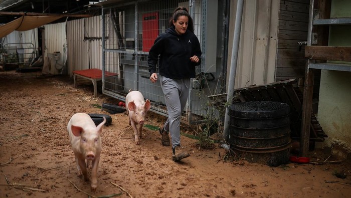 Animal caretaker, Ravid Hizmy, feeds rescue animals at Freedom Farm Sanctuary where she continues to care for the animals despite facing life-threatening missile strikes, amid the U.S.-Israel conflict with Iran, in Olesh, Israel March 29, 2026. REUTERS/Shir Torem