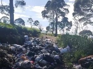 Temuan Mengejutkan Soal Tumpukan Sampah di Kebun Teh Pangalengan, Ternyata...