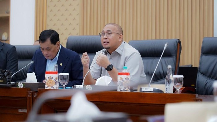 Wakil Ketua Komisi VI DPR RI, Andre Rosiade