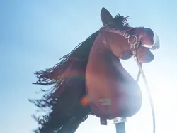 Ngakak! Prank Teknologi April Mop 2026 Ini Nyaris Bikin Percaya