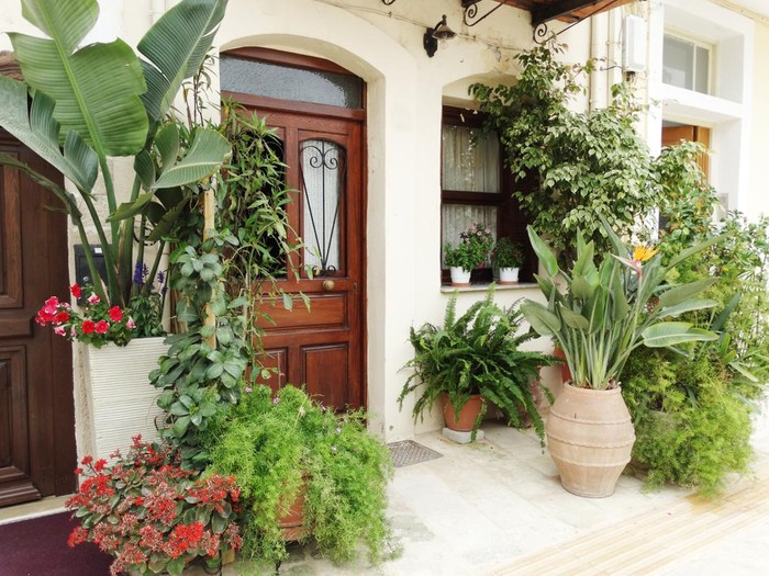 door architecture detail in house building with bougainvillaea Greece