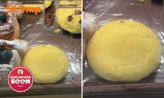 Lalat hinggap di kue