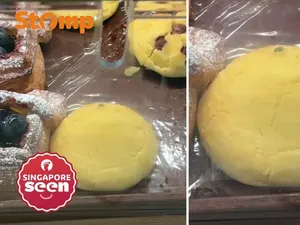 Lalat Hinggap di Adonan, Kebersihan Toko Roti Ini Jadi Sorotan