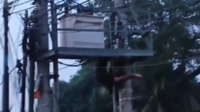 Pelaku pencurian kabel di Jambi tersengat listrik hingga berujung ditangkap polisi
