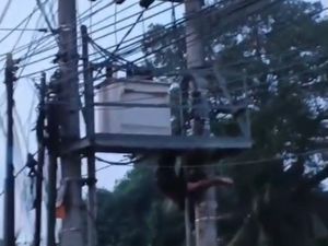 Video: Maling Kabel PLN di Jambi Berujung Tersengat Listrik dan Ditangkap Polisi