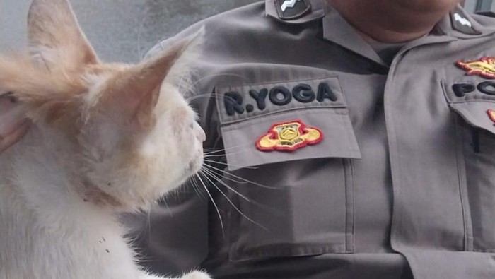 Polisi dan damkar mengevakuasi kucing kecebur sumur di Ciputat Timur, Kamis (2/4/2026).