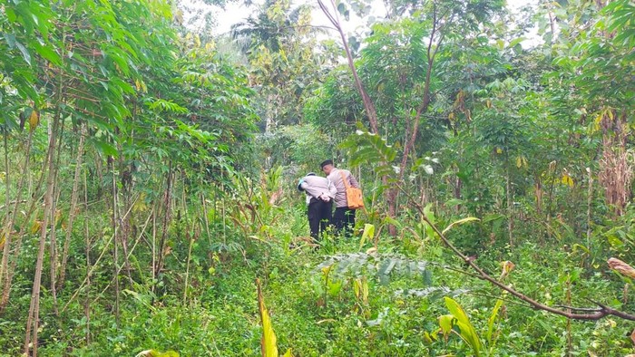Polisi saat melakukan olah TKP penemuan jasad pria penuh luka di Lingkungan Sawit RT 02 RW 06, Kelurahan Gemawang, Kecamatan Girimarto, Kabupaten Wonogiri, Kamis (2/4/2026)