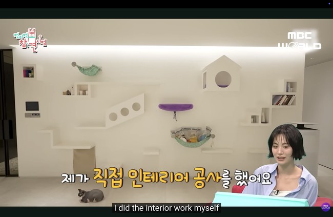 Ia bahkan mendesain sendiri area bermain untuk kucingnya di dinding dengan hiasan berwarna ungu dan hijau. Tak hanya fungsional, area ini juga menjadi elemen unik di rumahnya. Foto: dok. MBC World