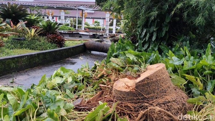 Selasar dan pilar Taman Tanginas rusak tertimpa pohon.