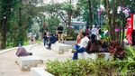 Taman Bendera Pusaka Ramai Pengunjung, dari Piknik hingga Olahraga